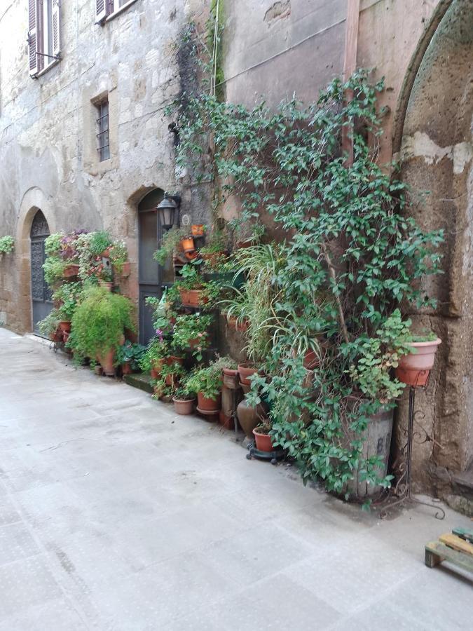 La Casa Di Sally Pitigliano Eksteriør bilde